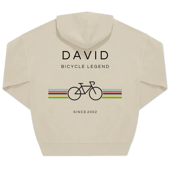 SimpleBicycleTO SimpleBicycleTO