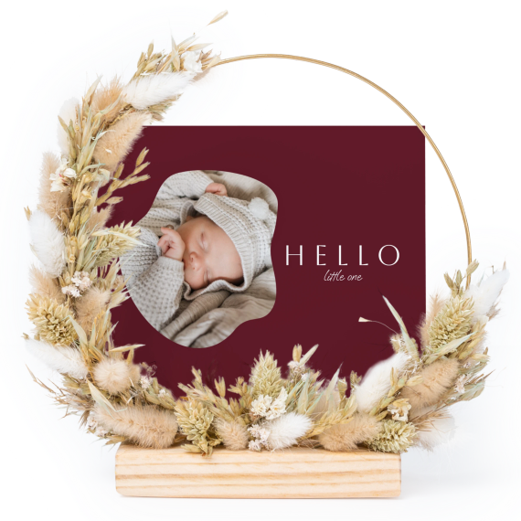 OrganicSilhouetteBiz OrganicSilhouetteBiz