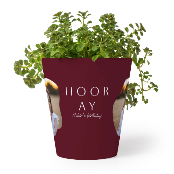 FlowerPot_OrganicSilhouetteBurgundy