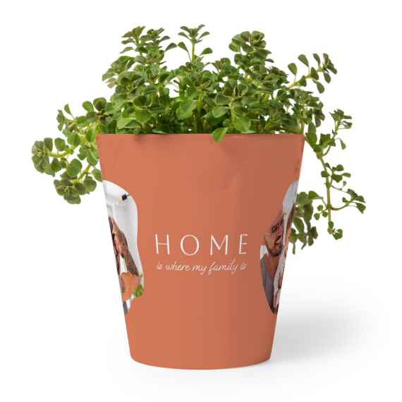 Organic Shape Warm Minimalism Organic Shape Warm Minimalism