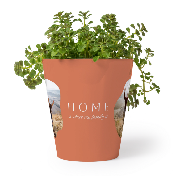 Organic Shape Warm Minimalism Organic Shape Warm Minimalism