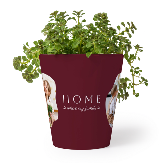 Kleine bloempot Kleine bloempot