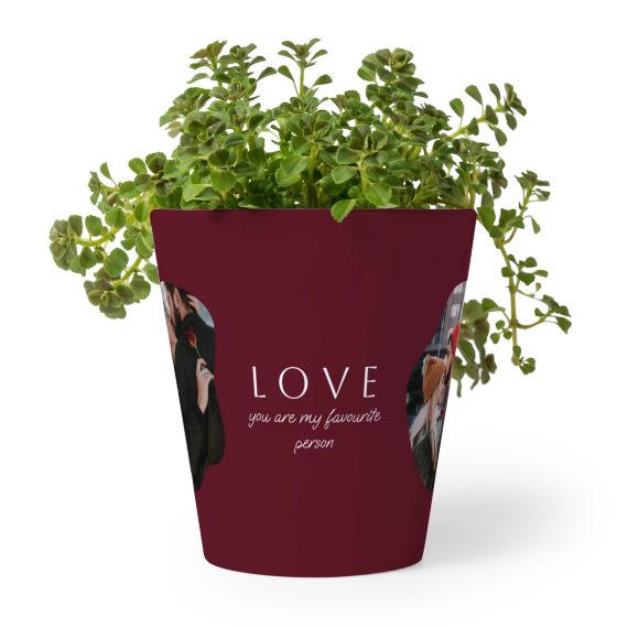 OrganicSilhouetteBiz OrganicSilhouetteBiz