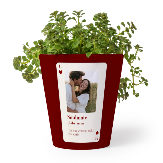 Playing Card Worddefinition Playing Card Worddefinition