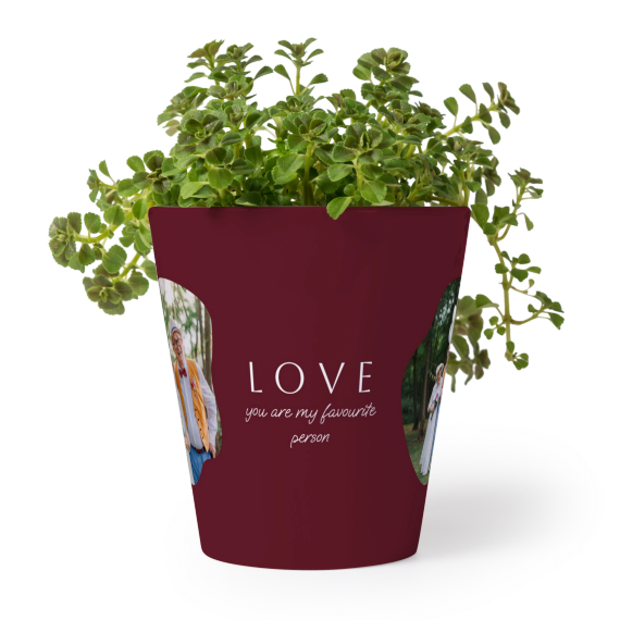 OrganicSilhouetteBiz OrganicSilhouetteBiz