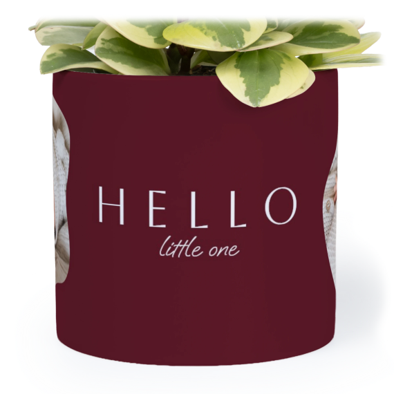 OrganicSilhouetteBiz OrganicSilhouetteBiz