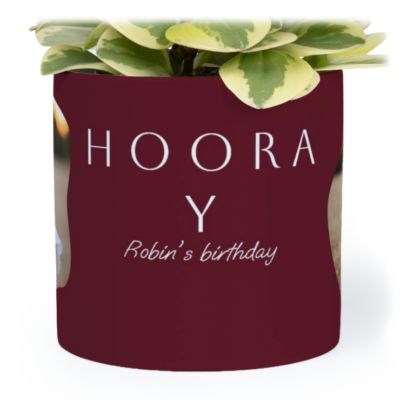Flowerpot14cm_OrganicSilhouetteBurgundy