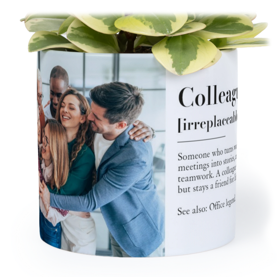 Flowerpot14cm_DictionaryDefinition