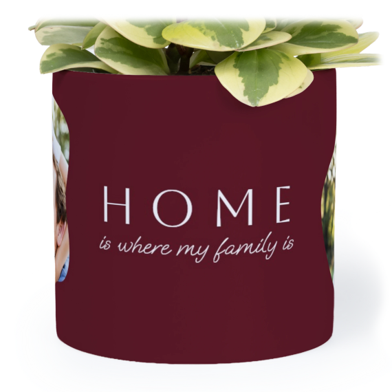Flowerpot14cm_OrganicSilhouetteBurgundy