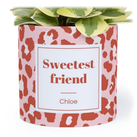 Animal Print Label - Text Only