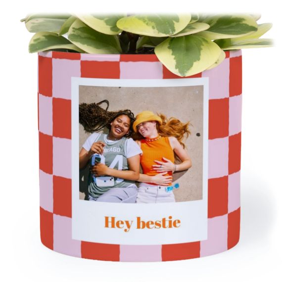 Checkerboard Photo Print Checkerboard Photo Print