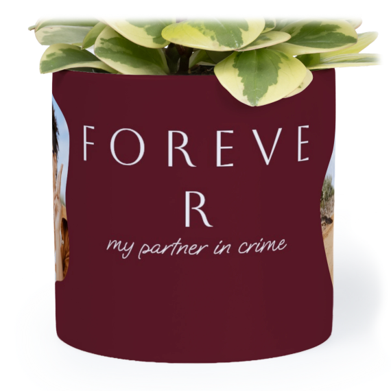 Flowerpot14cm_OrganicSilhouetteBurgundy
