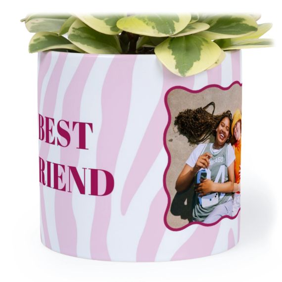 Flowerpot14cm_ZebraSwirlyFrame