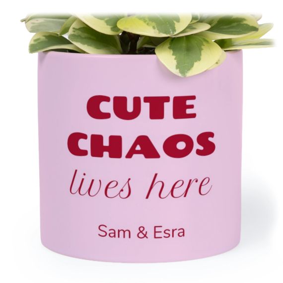 Flowerpot14cm_BoldFunTextTO
