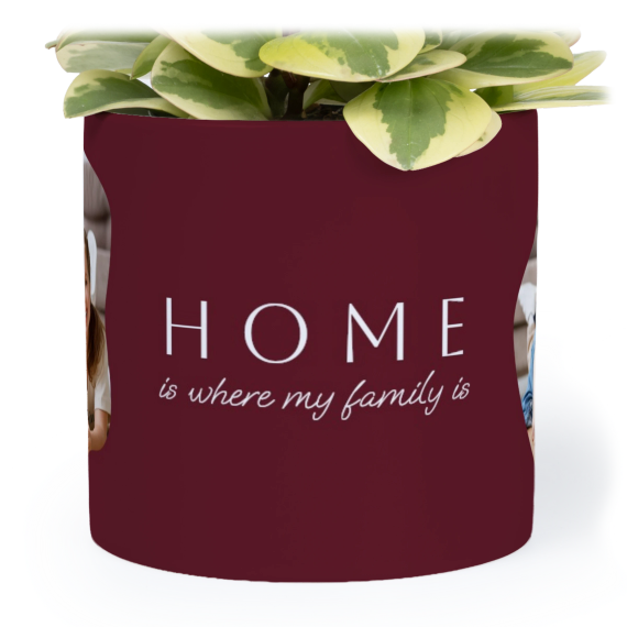 OrganicSilhouetteBiz OrganicSilhouetteBiz