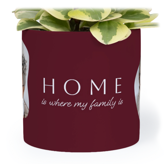 OrganicSilhouetteBiz OrganicSilhouetteBiz