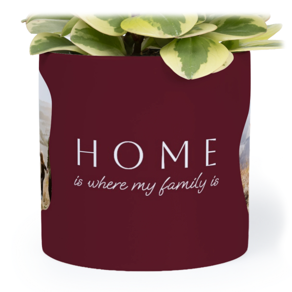 OrganicSilhouetteBiz OrganicSilhouetteBiz