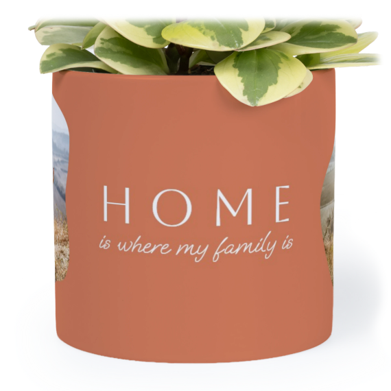 Organic Shape Warm Minimalism Organic Shape Warm Minimalism