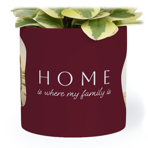 OrganicSilhouetteBiz