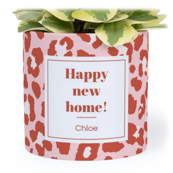 Animal Print Label - Text Only