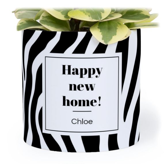 Animal Print Label - Text Only Animal Print Label - Text Only