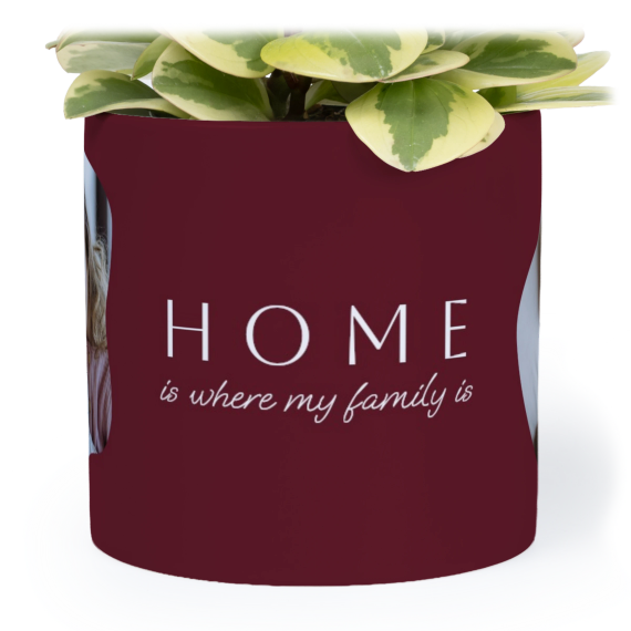 OrganicSilhouetteBiz