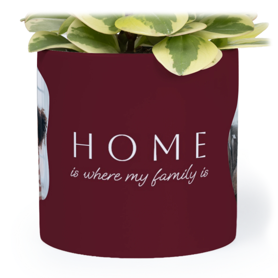 OrganicSilhouetteBiz OrganicSilhouetteBiz