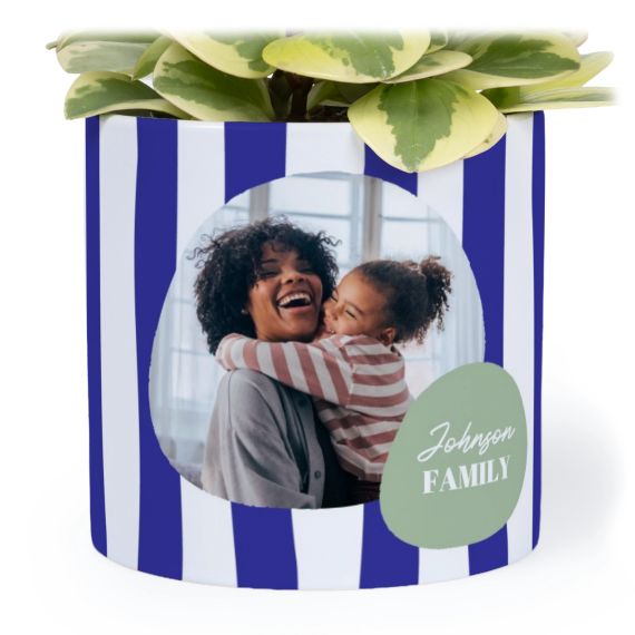 Stripes Organic Shape Stripes Organic Shape