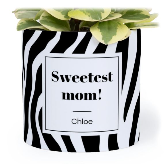 Animal Print Label - Text Only Animal Print Label - Text Only