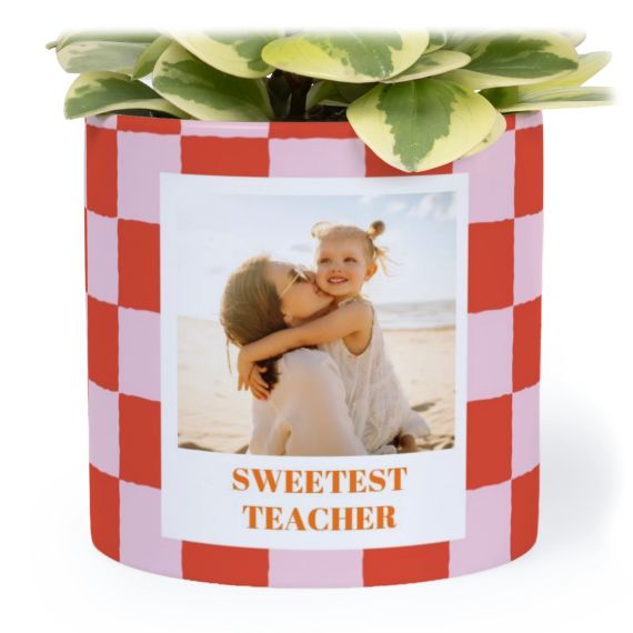 Checkerboard Photo Print Checkerboard Photo Print