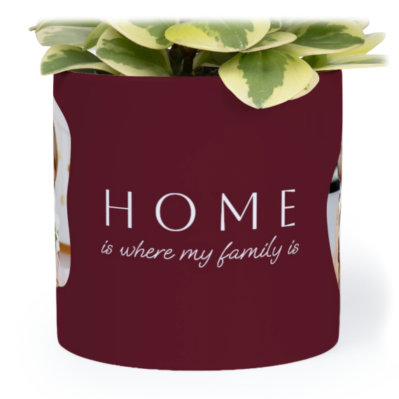 OrganicSilhouetteBiz