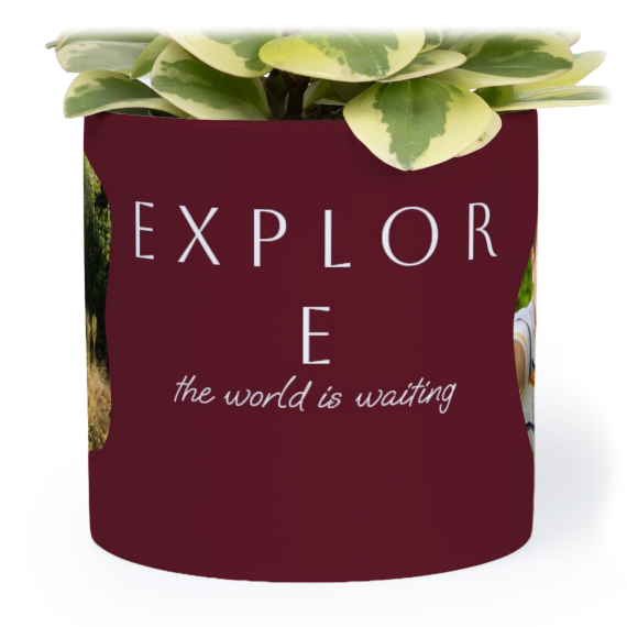 Flowerpot14cm_OrganicSilhouetteBurgundy