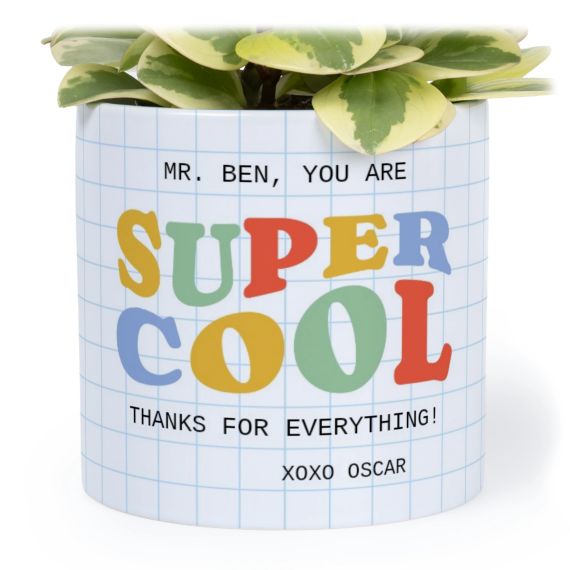 Single Plant Pot - Medium Single Plant Pot - Medium
