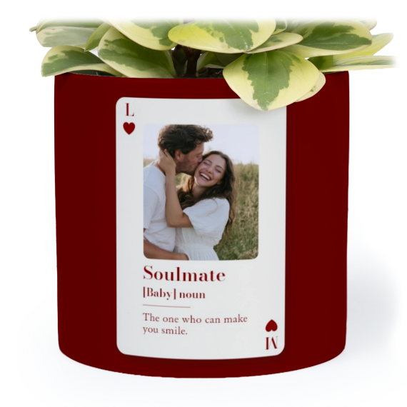 Playing Card Worddefinition Playing Card Worddefinition