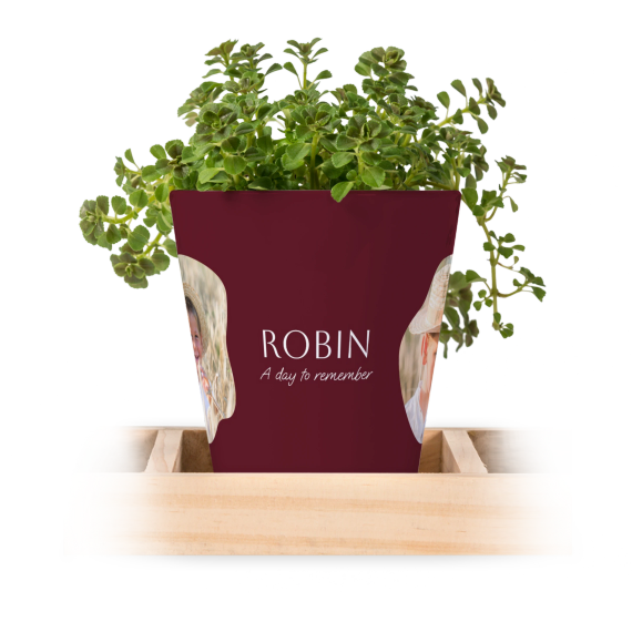 Lot de 3 pots de fleurs - Small