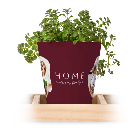 Lot de 3 pots de fleurs - Small Lot de 3 pots de fleurs - Small