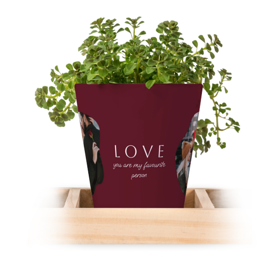 Plant Pot - Small (Set of 3) Plant Pot - Small (Set of 3)