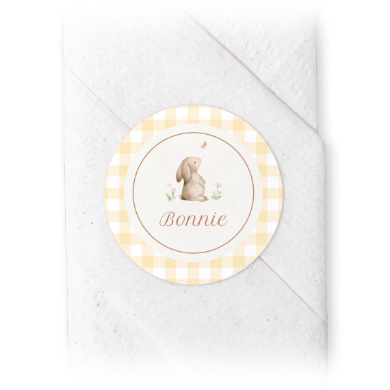 Cute Bunny Vichy Cute Bunny Vichy