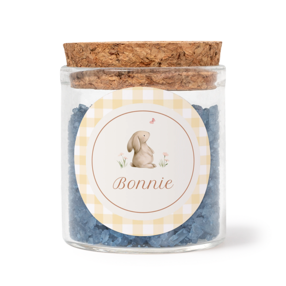 Cute Bunny Vichy Cute Bunny Vichy