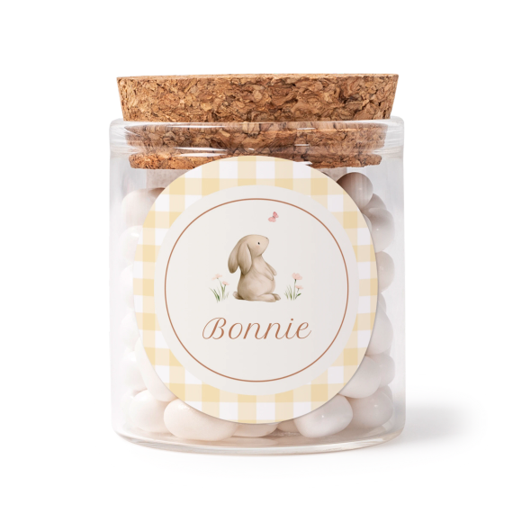 Cute Bunny Vichy Cute Bunny Vichy