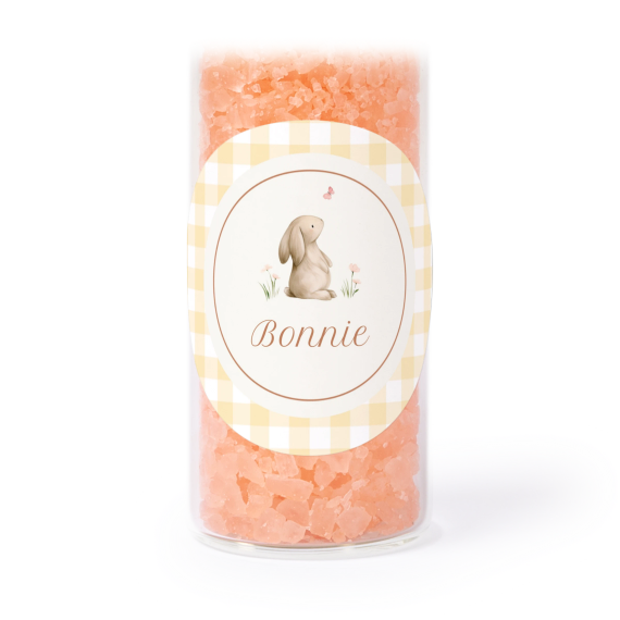Cute Bunny Vichy Cute Bunny Vichy