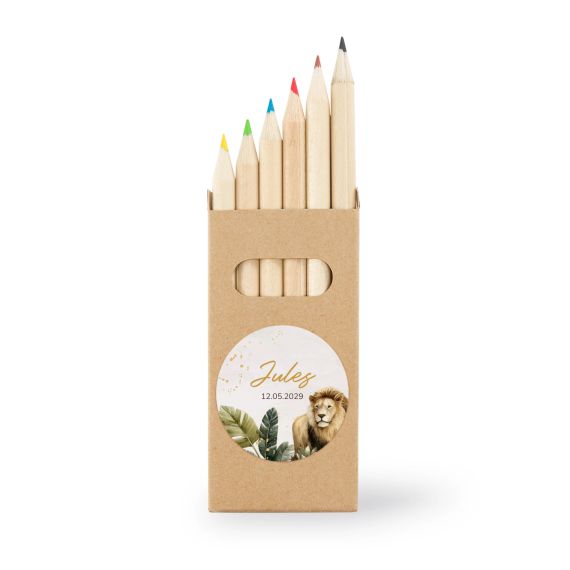 Set of 24 Coloured Pencils Set of 24 Coloured Pencils