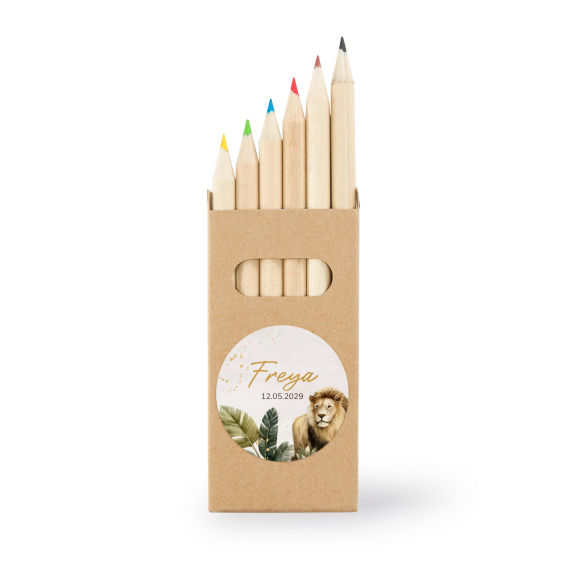 BoĂźtes de crayons de couleur (lot de 12) BoĂźtes de crayons de couleur (lot de 12)
