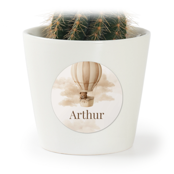 Dreamy Balloon Bear Dreamy Balloon Bear