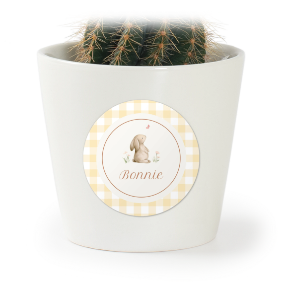 Cute Bunny Vichy Cute Bunny Vichy