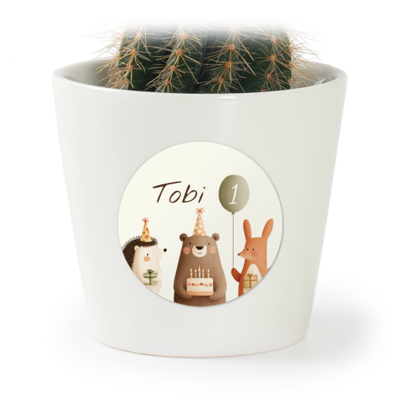 Forest Animals Party Forest Animals Party