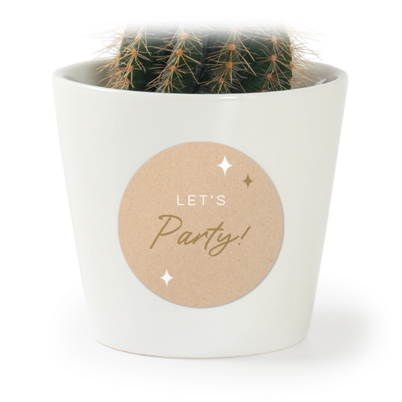 Sparkle Kraft Party Sparkle Kraft Party