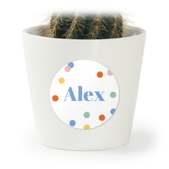 GiftSticker_RainbowConfetti