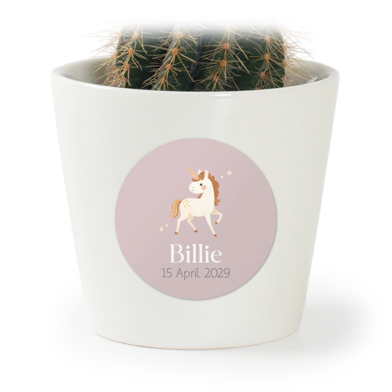 Bloempot met sticker - set van 12