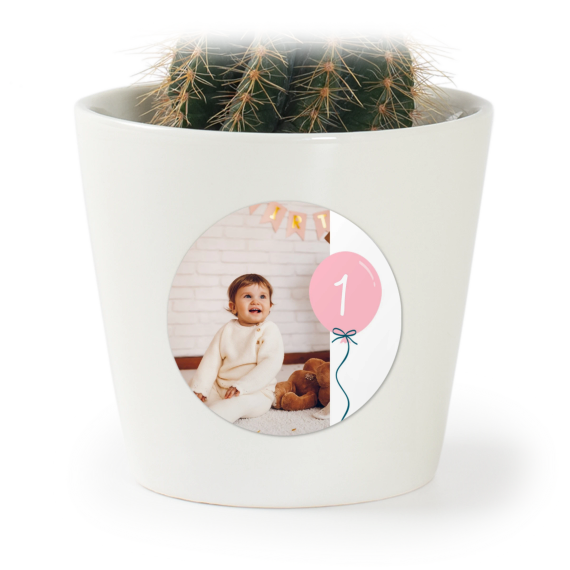 Party Balloons